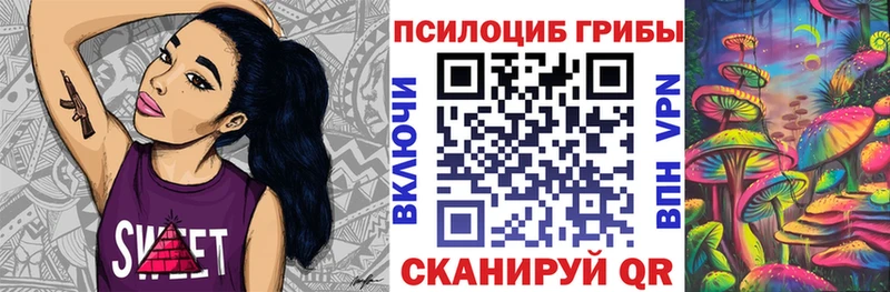 Псилоцибиновые грибы Cubensis Полысаево